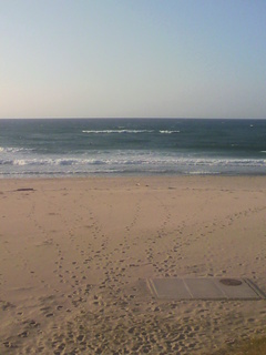 2012092516500000.jpg