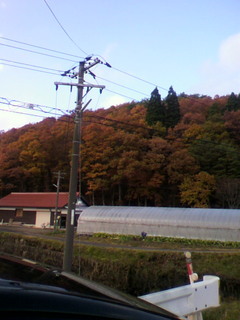 2012110615200007.jpg