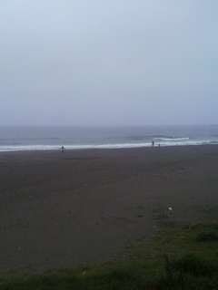 2013062517310001.jpg